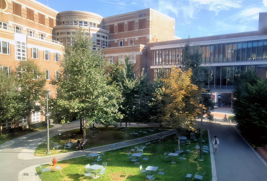 HKS courtyard view